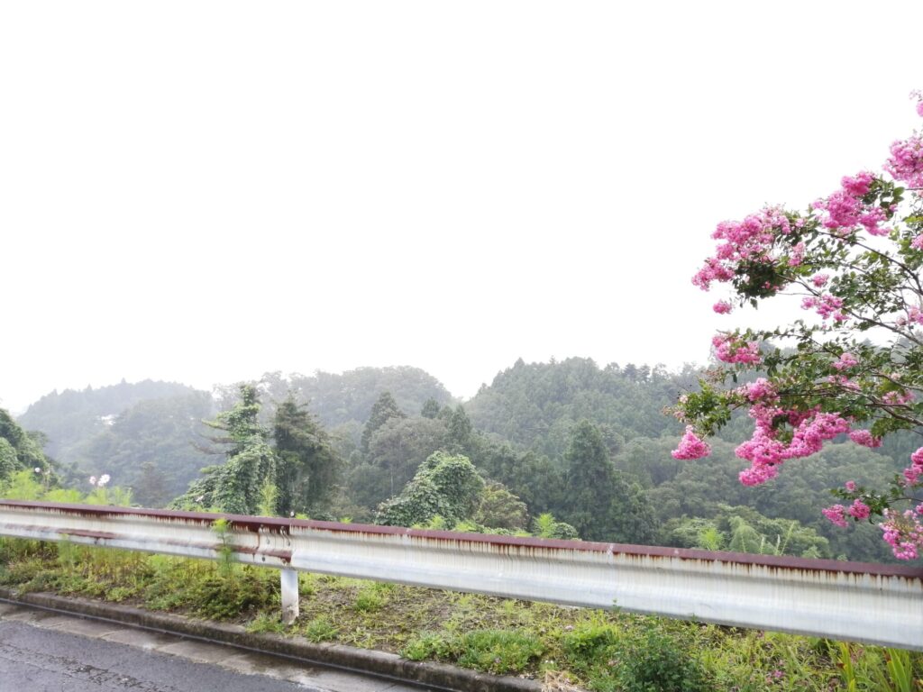 仙台市太白区上野山の車道から見た景色