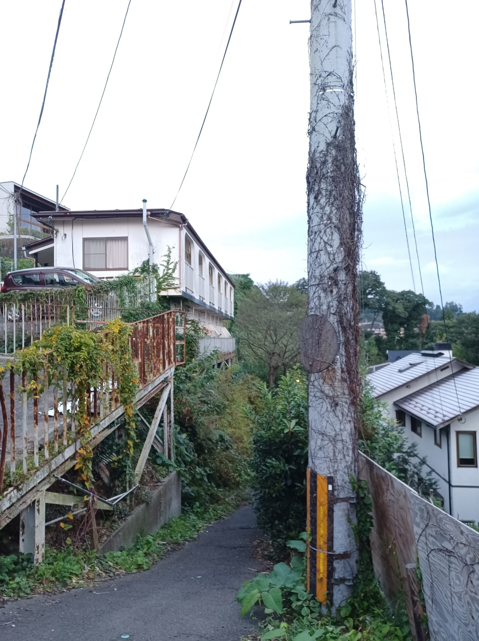 【仙台市太白区向山】自然の力は凄い 【仙台のギター教室】仙台入門ギター弾き語り倶楽部